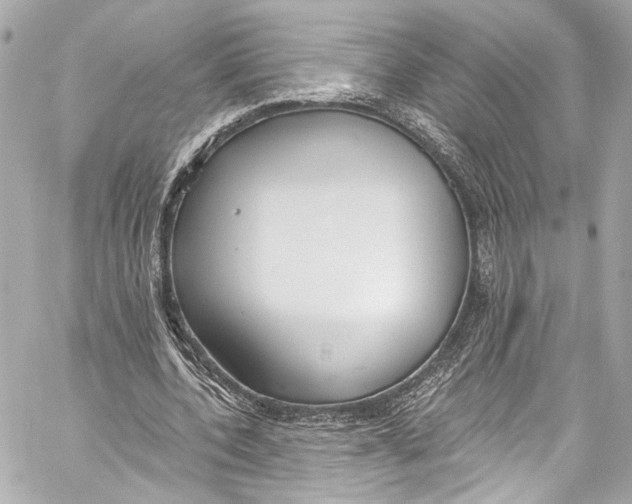 X0000057070532200510071435