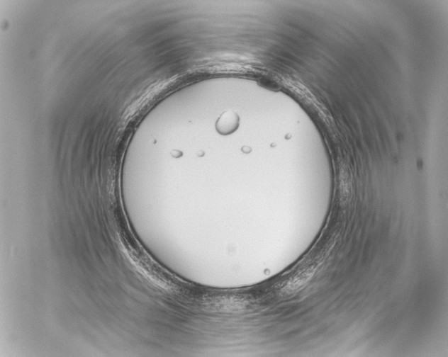 X0000057070533200510071435