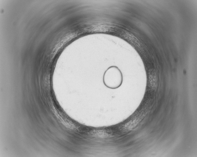 X0000057070534200510071435