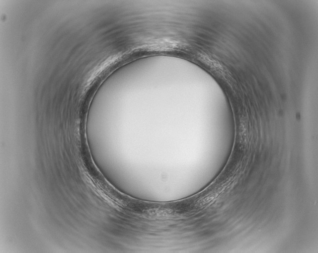 X0000057070535200510071435