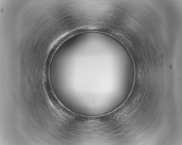 X0000057070536200510071435