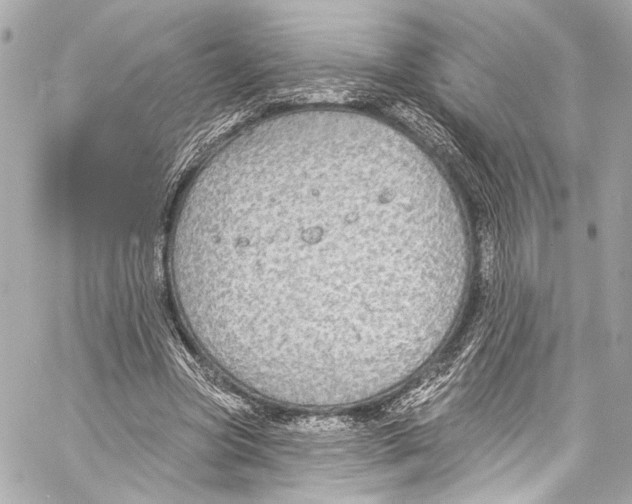 X0000057070537200510071435