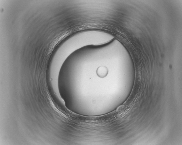 X0000057070538200510071435