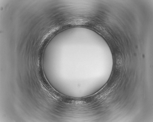 X0000057070539200510071435