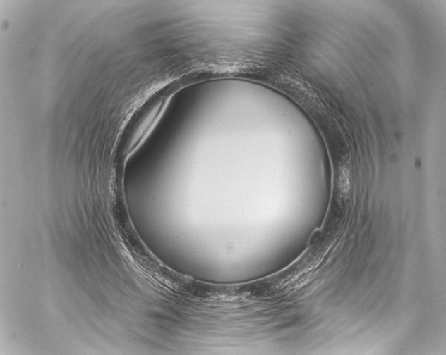 X0000057070540200510071435