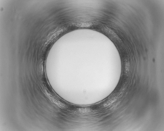 X0000057070541200510071435