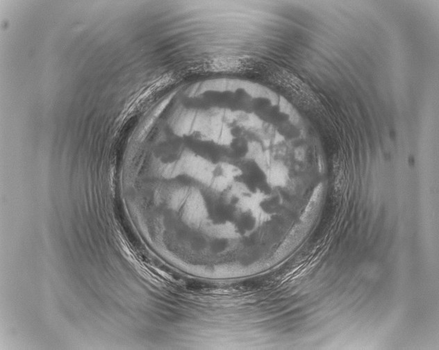 X0000057070542200510071435