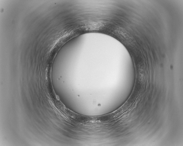 X0000057070543200510071435