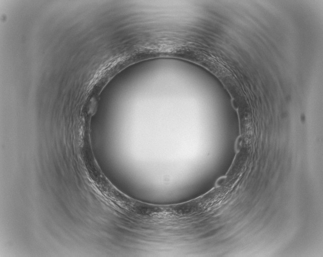 X0000057070544200510071435