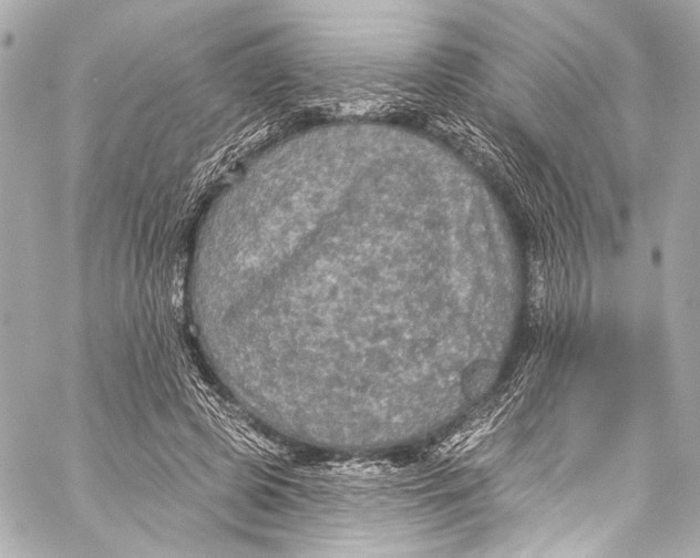 X0000057070545200510071435