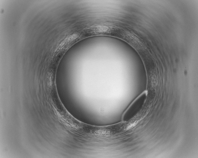 X0000057070546200510071435