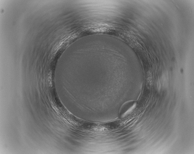 X0000057070547200510071435