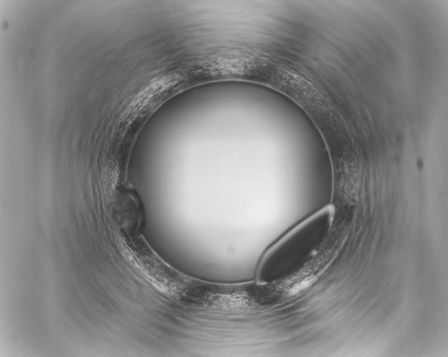 X0000057070548200510071435