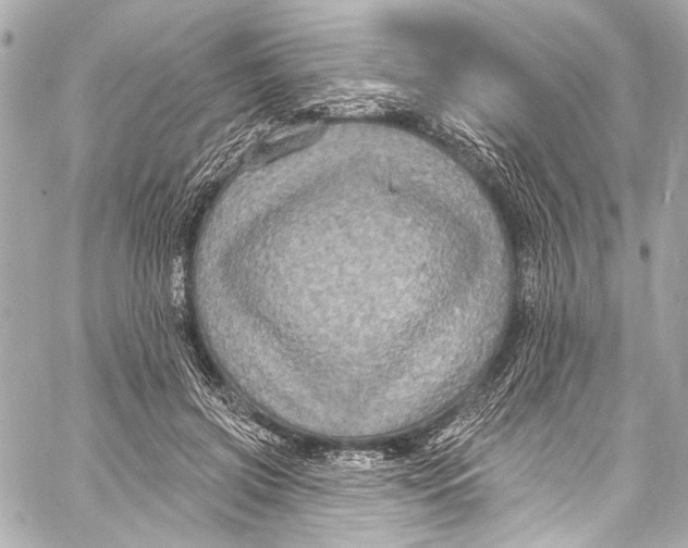 X0000057070549200510071435