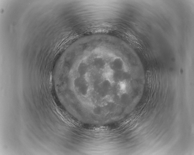 X0000057070550200510071435