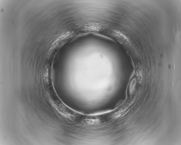 X0000057070552200510071435