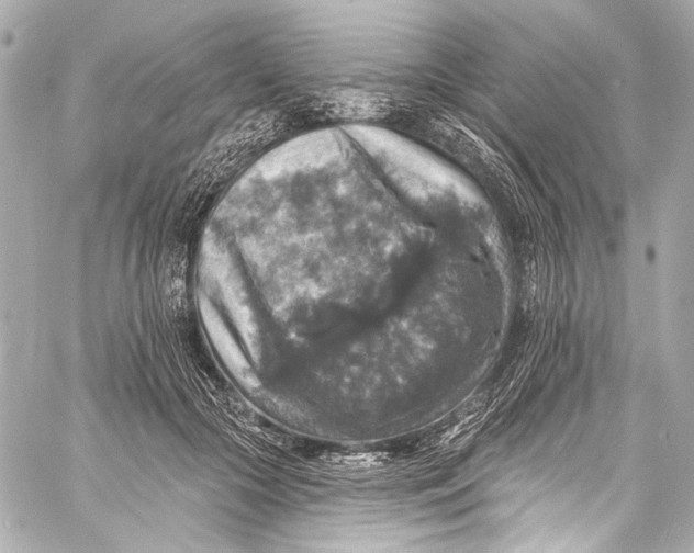 X0000057070553200510071435