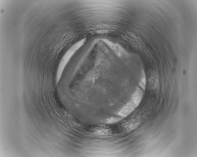 X0000057070555200510071435