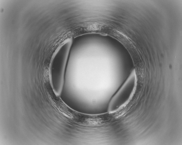 X0000057070556200510071435