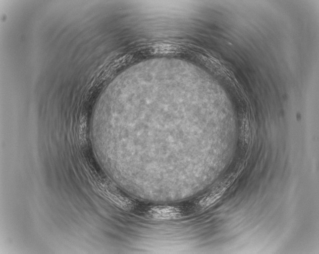 X0000057070557200510071435