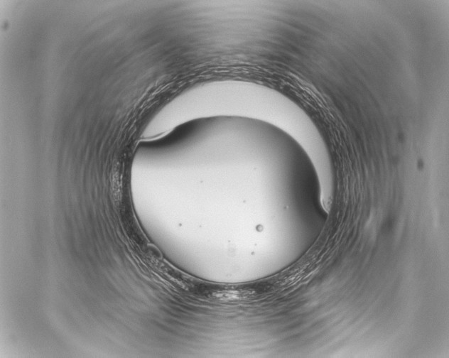 X0000057070558200510071435