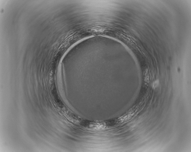 X0000057070559200510071435