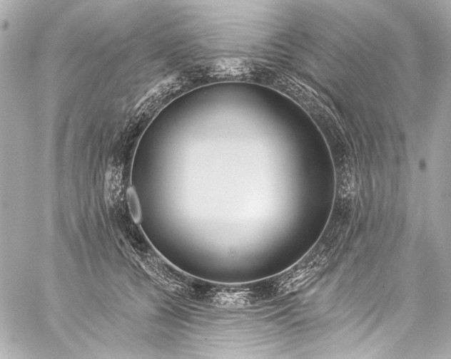 X0000057070560200510071435