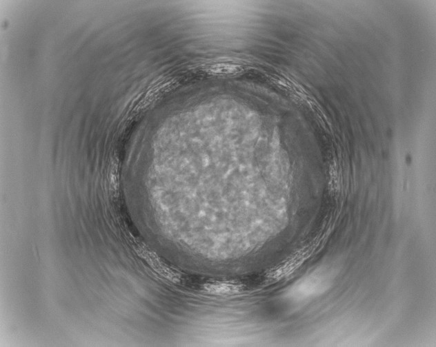 X0000057070561200510071435