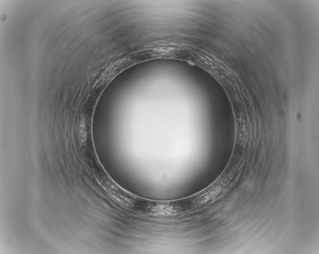 X0000057070562200510071435