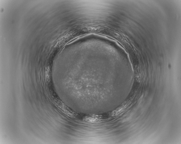 X0000057070563200510071435