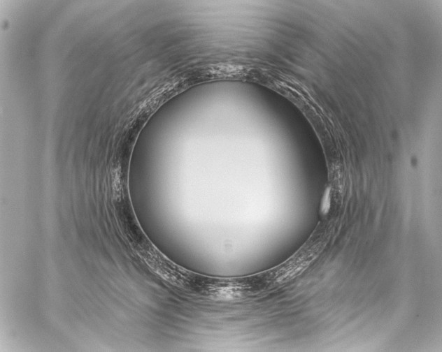 X0000057070564200510071435