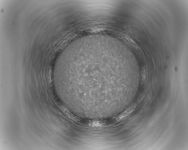 X0000057070565200510071435