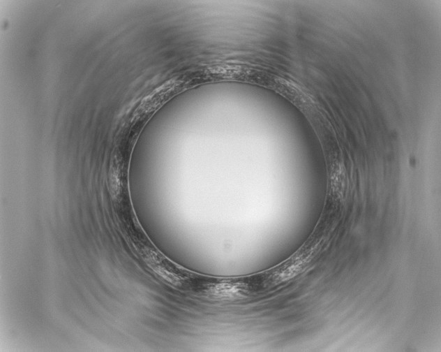 X0000057070566200510071435