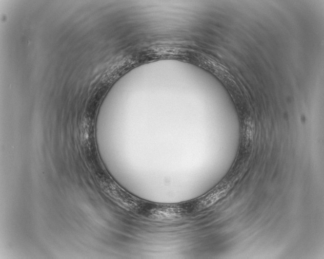 X0000057070567200510071435