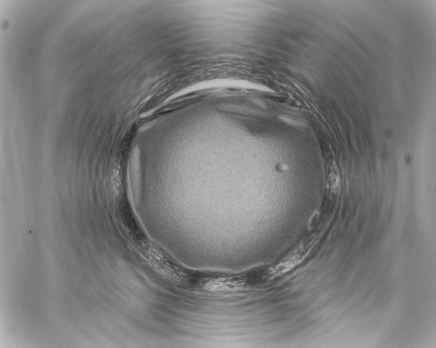 X0000057070568200510071435