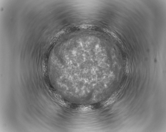 X0000057070569200510071435