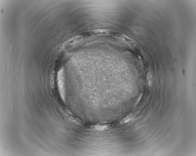 X0000057070570200510071436