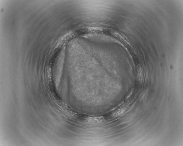 X0000057070571200510071436