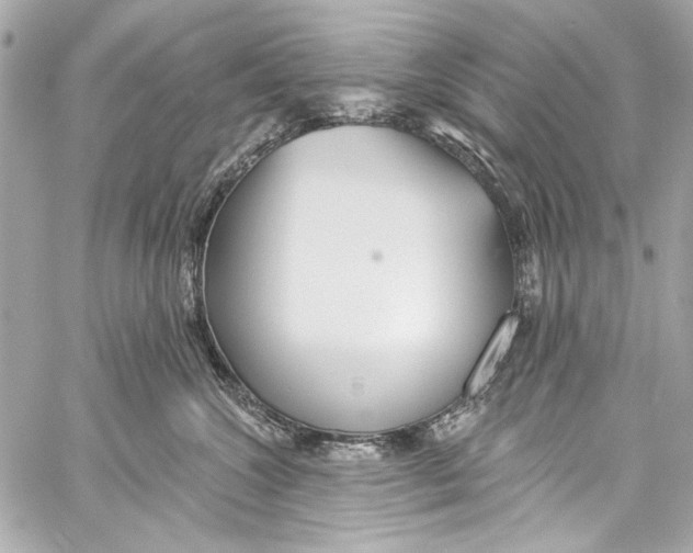 X0000057070572200510071436