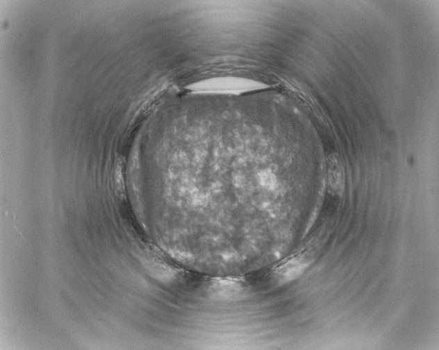 X0000057070573200510071436