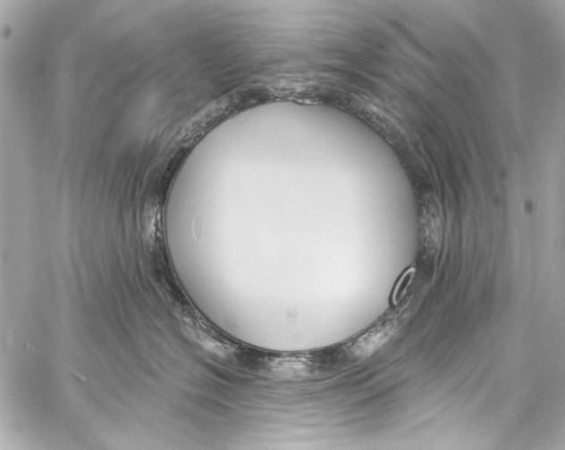 X0000057070574200510071436