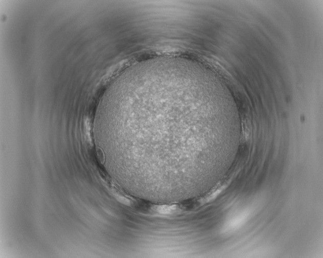 X0000057070575200510071436