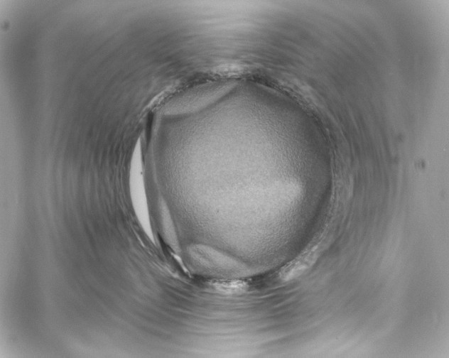 X0000057070576200510071436