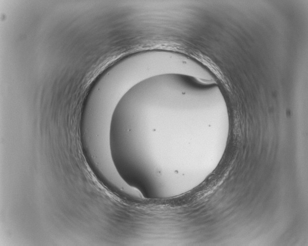 X0000057070577200510071435