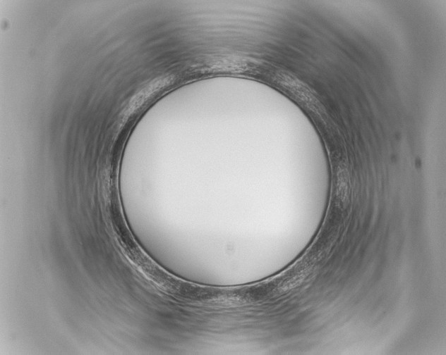 X0000057070578200510071435