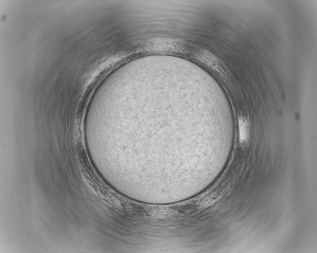 X0000057070579200510071435