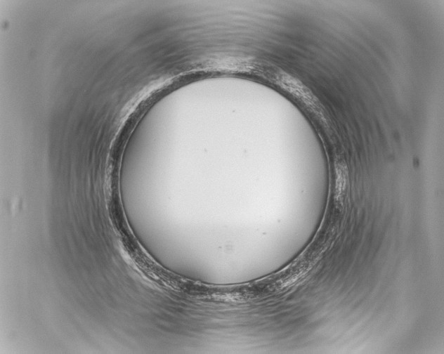 X0000057070580200510071435