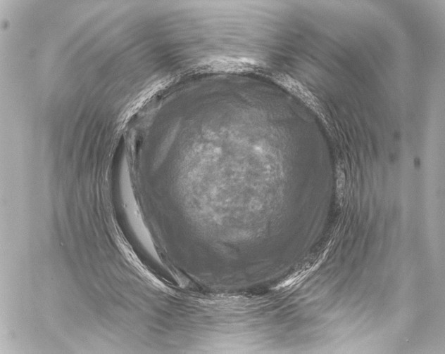 X0000057070581200510071435