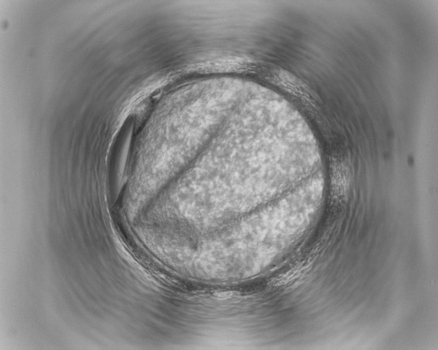 X0000057070582200510071435