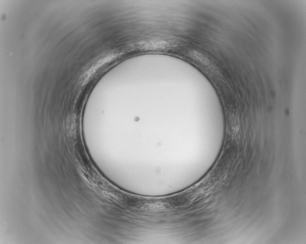 X0000057070583200510071435